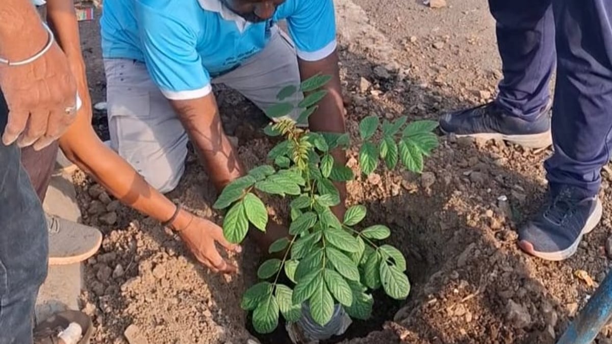 Mahaa Foundation volunteers planting trees on Double Road Mahalingpur